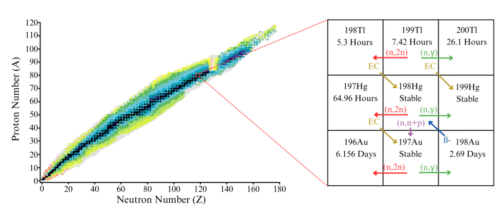 Table of nuclides (from NuDat.[16]) with a zoomed view of the region of
interest. Arrows show how neutron-driven reactions and radioactive decay direct transmutation. EC stands for electron capture.