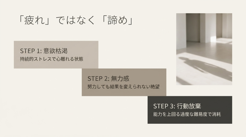 スパルタ校とセミスパルタ校の制度の違い比較
