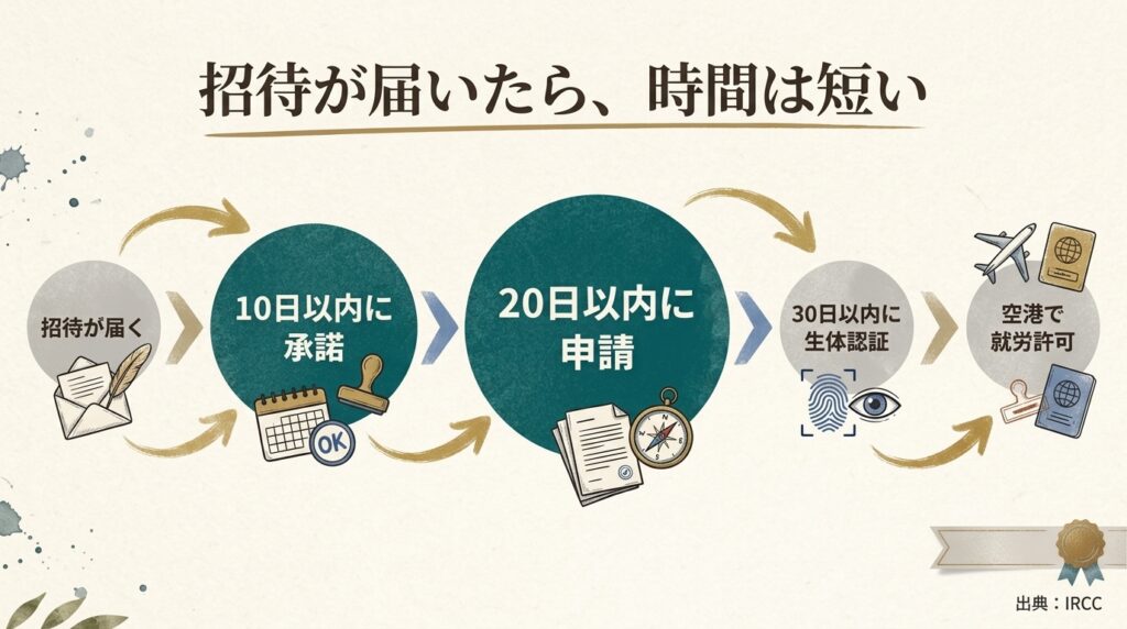 カナダのワーホリで招待が届いてから入国までの期限を示すタイムライン。10日以内に承諾、20日以内に申請、30日以内に生体認証、空港で就労許可